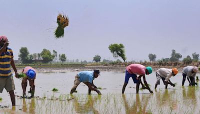 Bill seeking to protect groundwater passed in Goa; proposes up to Rs 10 lakh fine against offenders