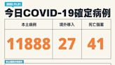 影／今年逾1.3萬人染疫死！最奪命年齡曝 本土+11888、41死