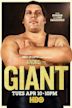 André the Giant (película)