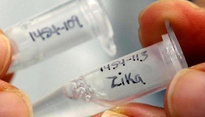 Private hospitals in Pune to test fever patients, expecting mothers for Zika