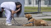 Behind bars, WA women learn to care for pets and themselves