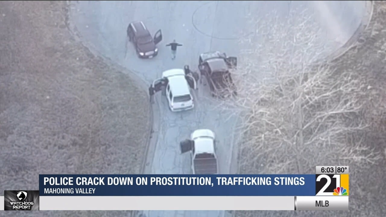 Valley police crack down on prostitution, trafficking stings