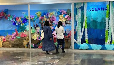 Oceana inaugura la exposición “Arrecifes de coral, del mar al andén” | El Universal