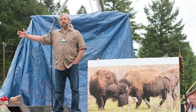 Yellowstone officials: Rare white buffalo sacred to Native Americans not seen since June 4 birth