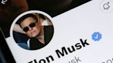 The Twitter Blue relaunch is on hold until the platform can sort out impersonation issues with 'high confidence,' Elon Musk says