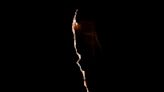 Australian photographer crowned winner of sports imagery contest with this electrifying shot of a climber in Long Canyon