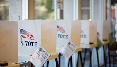 The ultimate Collier County, Florida voters' guide to the primary election 2024