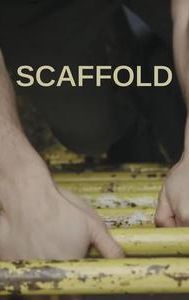 Scaffold