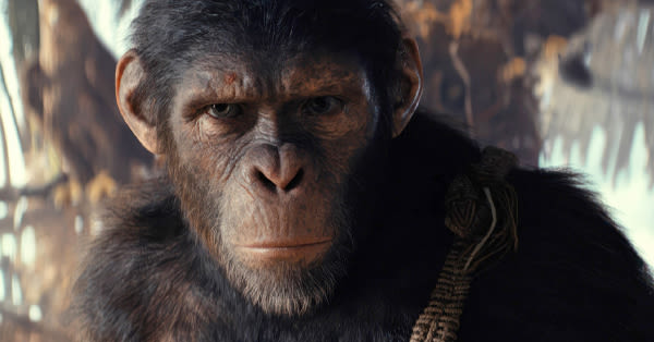 Weekend Box Office Results: Kingdom of the Planet of the Apes Reigns Supreme