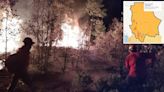 13 incendios en el estado; crecieron 310 hectáreas: Conafor