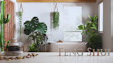 Best Feng Shui Plants To Use In Your Home