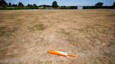 Village suffers in the heat without a drop of rain in all of July