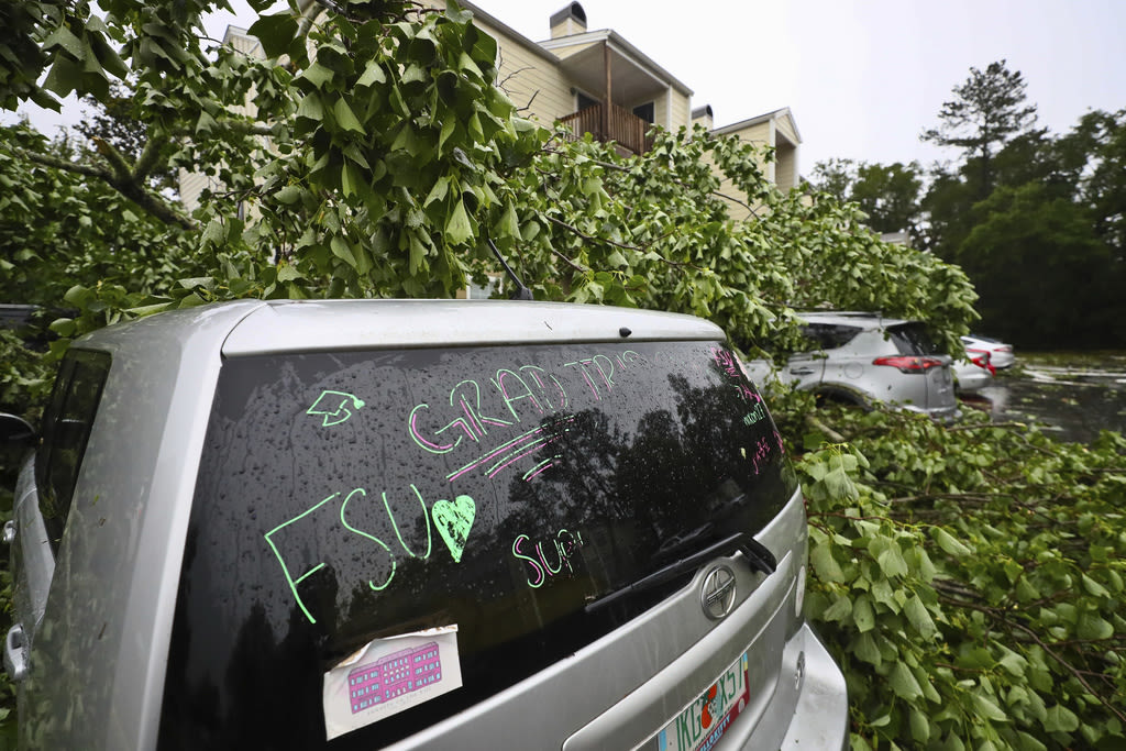 Two Tornadoes Down Trees on Homes, Kill One Person in Tallahassee