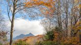 Where to go to catch last of Western North Carolina's leaf season: 2023 fall foliage