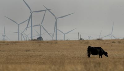 Congressman LaMalfa emphasizes forest management in $1.5 trillion farm bill markup