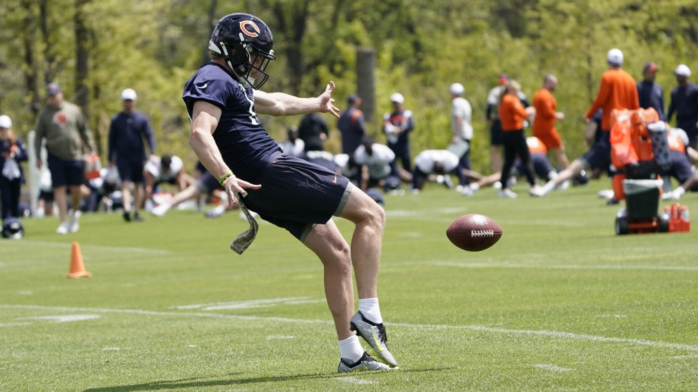 Punter Tory Taylor First Bears Draft Pick to Sign Contract