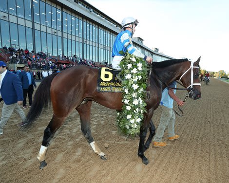 Angel of Empire Named Pennsylvania Horse of the Year
