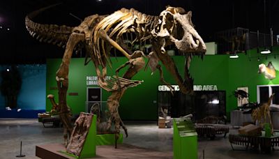 There's a new dinosaur museum within 2 hours of Hillsdale