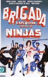 Explosive Brigade Against the Ninjas