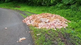 Large Pile Of Meat Found On Side Of Ohio Road, And No, It’s Not Your Mom