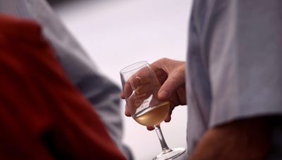 Investigadores desarrollan un método para identificar vinos generosos y evitar fraudes