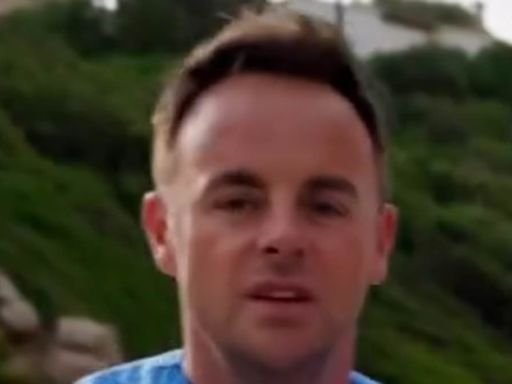 Ant And Dec push each other off of paddleboards at the beach