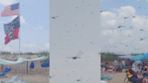 Massive dragonfly swarms delight some beachgoers, terrify others