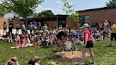Orchard Hill sixth-graders recognized for tree-planting project