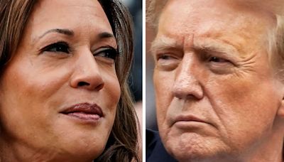 How to Spot ‘Microexpressions’ During Trump-Harris Debate