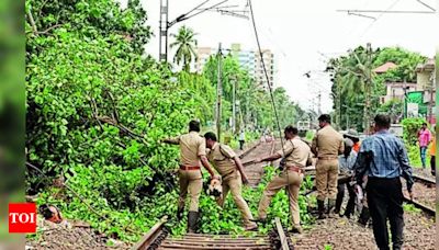 Train services disrupted due to tree fall on rail track | Kochi News - Times of India