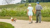 Dane County announces permit-free weekend for Madison parks