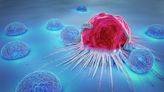 University of Sheffield funding to treat blood cancer cells