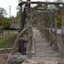 Brackenridge Park