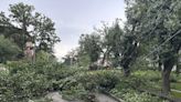 Storms with likely tornadoes slap the Chicago area. Thousands lack power, and 1 is dead