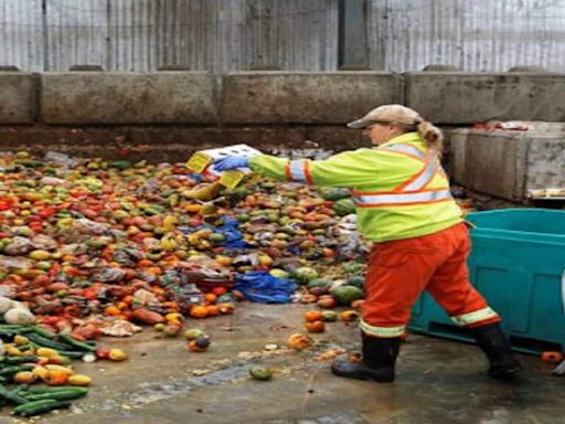 AI-enhanced garbage bins aim to solve food service’s waste problem