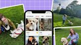 Ich wollte schon immer einen Hund und habe eine Dogsharing-App getestet