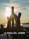 La Rosa del Caribe