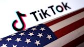 US court to hear challenges to potential TikTok ban - ET BrandEquity