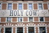 Holy cow (expression)