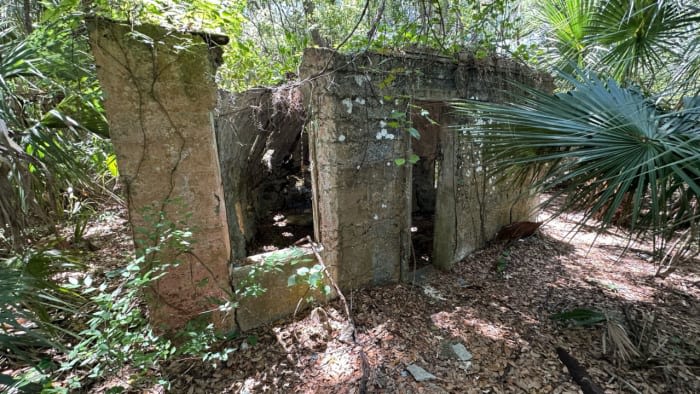 Yes, there are abandoned ‘Elf Houses’ hidden in the woods in Florida. We explain