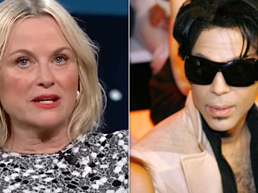 Amy Poehler Doomed Her One Chance With Prince With The Dorkiest Question