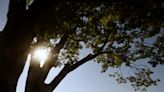 CT may see warmest day of year today as temperatures soar to around 80, NWS says