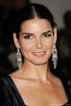 Angie Harmon