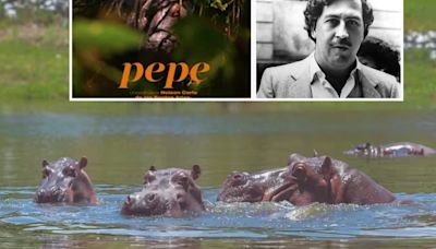 La película de los hipopótamos de Escobar llega a los cines tras ser nominada a varios premios