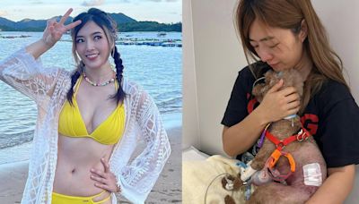 「牛雜妹」李亦喬懷孕9周不幸流產 愛犬被咬至重傷入ICU受雙重打擊 | am730