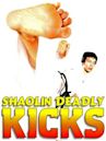 Shaolin Deadly Kicks