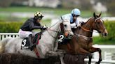 Two horses die on first day of Cheltenham Festival