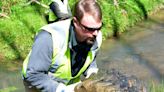 Maryville creek cleanup looking for volunteers