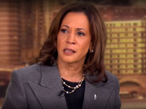 Kamala Harris Hits Trump Hard Over Hurricane ‘Lies’ on ‘The View’