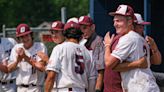 MHSAA Super Regionals: See the pairings for Greater Lansing baseball teams